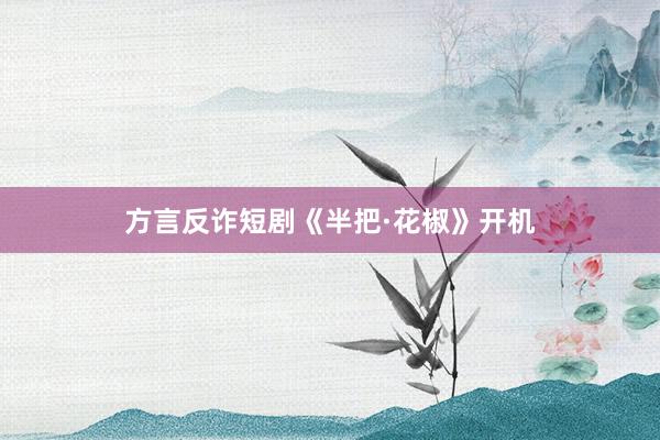 方言反诈短剧《半把·花椒》开机